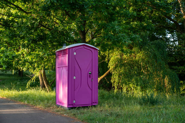 Best Porta potty cleaning services  in Nashvle, IL